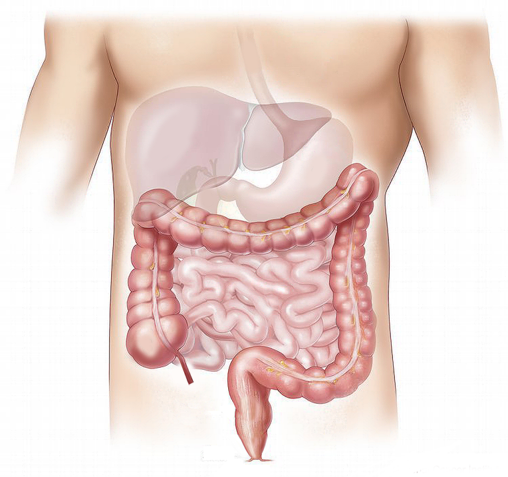gastroenterologie-bottrop